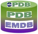 pdb-emdb image